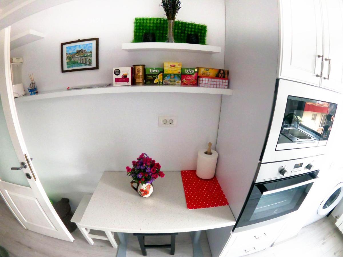 Appartement Splendid View à Suceava Extérieur photo